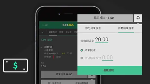 BB贝博艾弗森体育